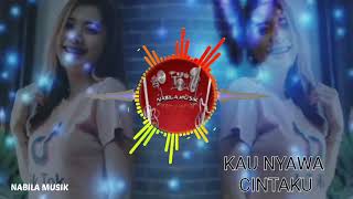 KAU NYAWA CINTAKU DJ_ANDRA_RESPATI