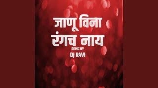 Janu Vina Rangach Nay (DJ Ravi)