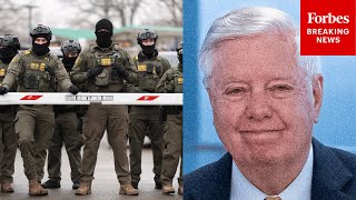 'Breakdown Of Law': Lindsey Graham Decries Sanctuary City Policies After Senate Blocks Funding Bill