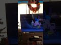 bloofy the we did song suki axel hazel and tibor no time