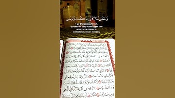 القرآن الكريم من سورة مريم #قرآن #سورة_مريم #إسلام_Islam