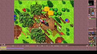 Tibia - Ascalon OTS Wealth