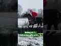 Santa can do it ALL! 👏🤣#animals #animalshorts #horse #horseracing #horses