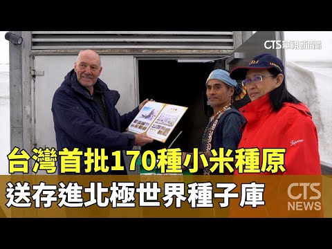 台灣首批170種小米種原 送存進北極世界種子庫｜華視新聞 20240530