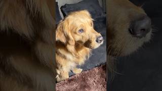 Bhoot bangla😰 #shorts | Anant Rastogi