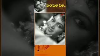 మవ మవ మవ..Maava Maava Song Manchi Manasulu Movie Full Josh Folk Song