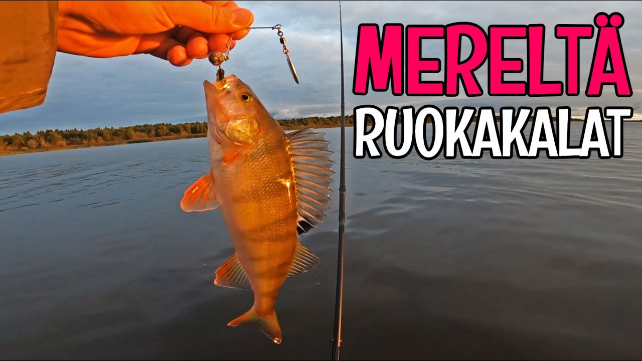 LYHYT ILTAPISTO MERELLE - HENKARILIPALLA AHVENTA - ORKA MIKROJIGIT