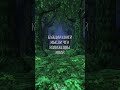 типа меланхолик йа #youtubeshorts #меланхолик #музыка #смех #юмор