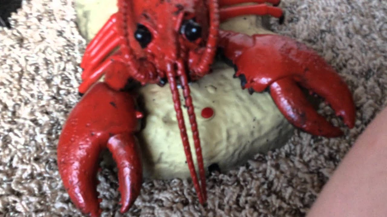 Rocking the Signing Lobster - YouTube