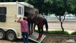 VLOG|1 Día en el Hipódromo