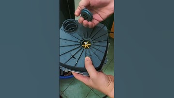 Đến lịch vệ sinh lọc thùng cứ bị lười ngang 🤣 #aquarium #sonthuysinhchualanh