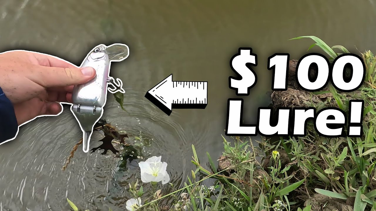 I Found a $100 Lure While I was Bass Fishing! (Spring Bass Fishing Ponds in Fort Worth, Texas)