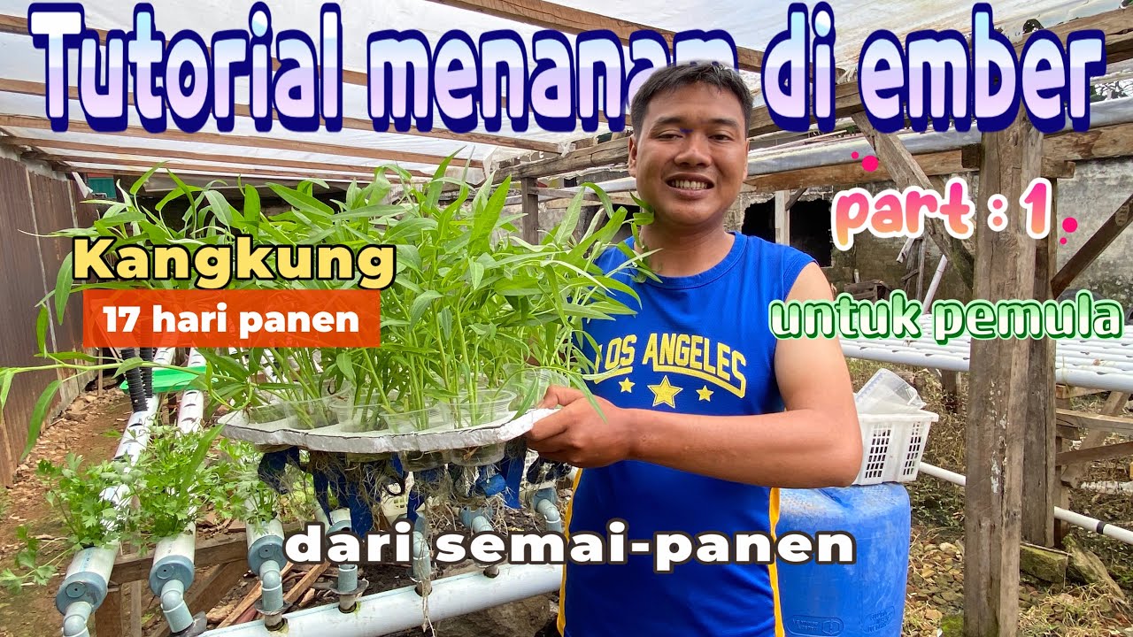 TUTORIAL TANAM HIDROPONIK UNTUK PEMULA