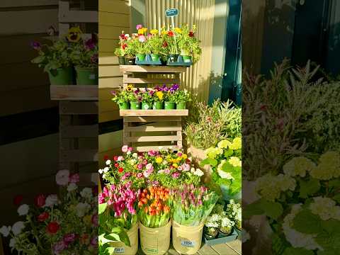 어떤 아름다움들은 오직 시간이 만드는 것, 시간의 빛 time