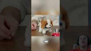 Testing AI SCAM Ads: Are They REAL or FAKE? #shorts