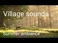 Relaxing village sounds summer morning ambience village ambience