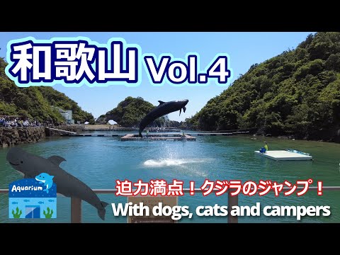 【犬と猫とキャンピングカーで和歌山の旅！Vol.4】～博物館で迫力満点のくじらショー～