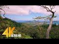 Hawaiian Nature 4K Video, Oahu - 3 Hour Long Nature Relaxation with Nature Sounds - Hawaii, Oahu, US