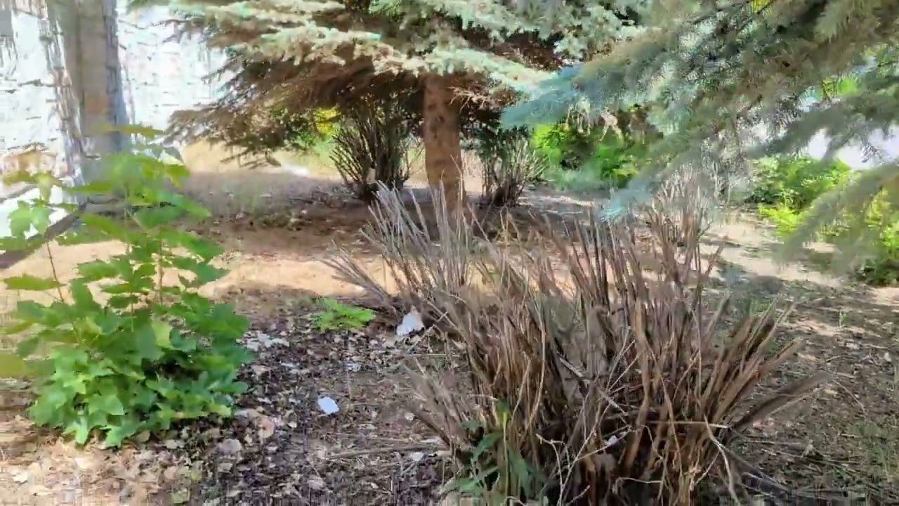 Geocaching: The Red Letterbox Cache