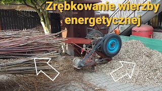 Jak zrębkować wierzbę energetyczną, czyli ostatni etap przed spalaniem