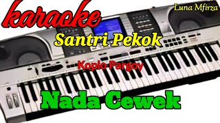 Download Lagu KARAOKE Santri  Pekok - KOPLO PARGOY MP3
