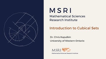 Introduction to Cubical Sets