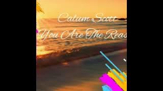 Calum Scott - You Are The Reason cover by J Fla