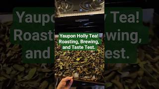 Yaupon Holly Tea! Roasting, Brewing, and Taste Testing.