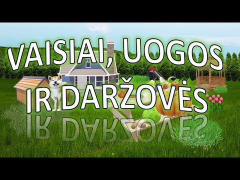 Video: Kaip Užšaldyti Daržoves Ir Vaisius