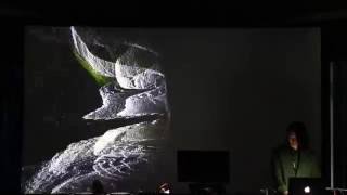 koeosaeme Audio-Visual liveset at LPM2016