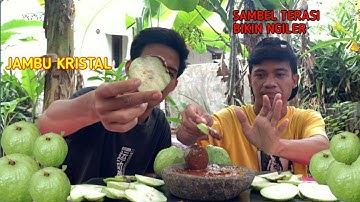 MUKBANG 2 kg  RUJAK JAMBU KRISTAL SAMBAL TERASI