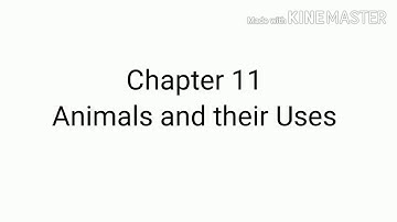 Unit 3, Chapter 11: Animals and their Uses |DBS|EVS|