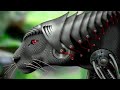 Increíbles Animales Robot Que Deberías Ver