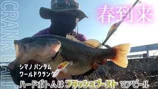 春のバス釣りに突入!?バンタムワールドクランク（クランクベイト）にグッドサイズ！