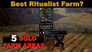 Guild Wars BEST Ritualist 1 Minute SOLO Farm Build [5 Areas] screenshot 4