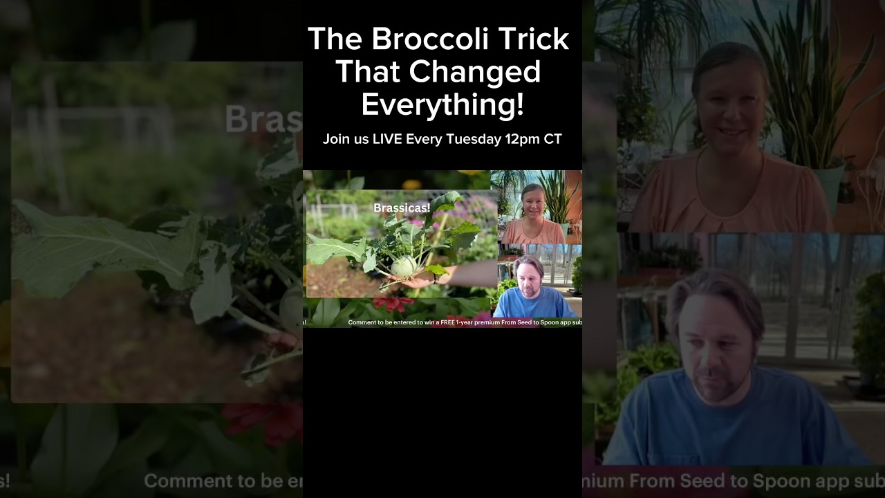 Uploads from From Seed to Spoon Garden Planning App