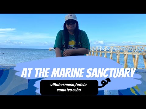 Quick escape at Marine Sanctuary in camotes island cebu #escape #vlogtrip #vlogvideo #vlog