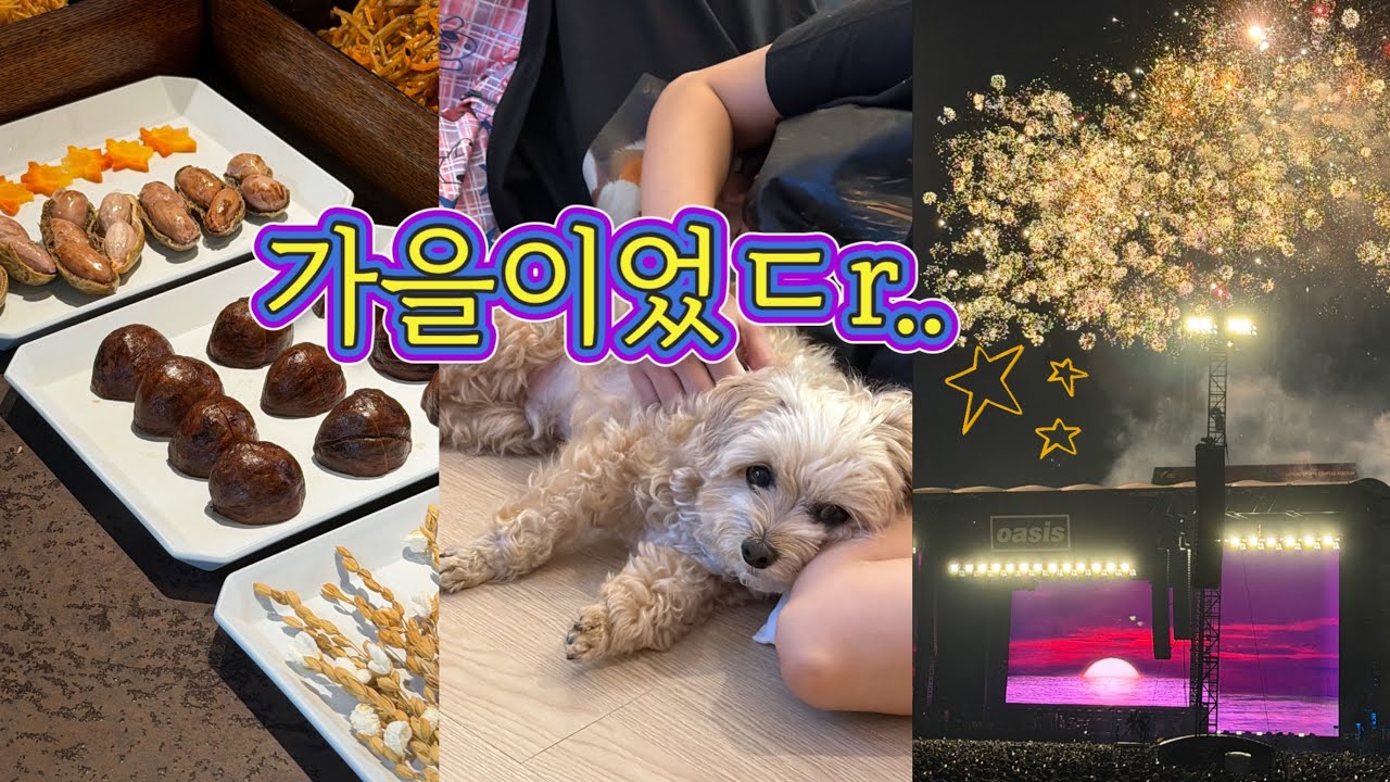 vlog ep.22 | 가을도시락🌾만들기 / 오아시스🤟🏼내한공연 / 한강🍂 나들이 / 건강🍋모닝루틴 / 가을향수🍁추천