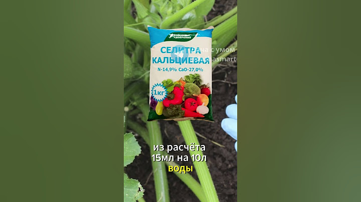 Почему гниют кабачки? #кабачки #урожай #огород