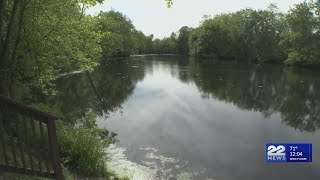 Possible algae bloom detected at Rubber Thread Pond in Easthampton