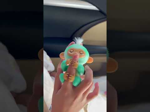 New friend of