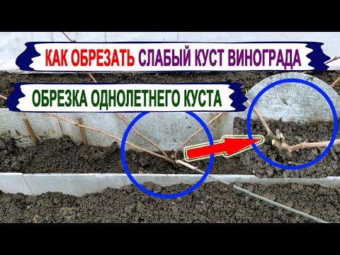 🍇 Как обрезать