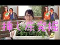 挿木床１を掘り出します【キミのミニ盆栽びより】Dig out the cuttings/Excava los esquejes