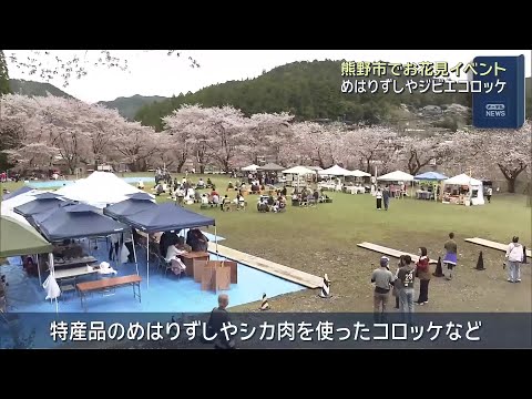 三重県熊野市の桜の名所で花見イベント「桜覧会」　特産品楽しみながら花見楽しむ (26/04/05 18:01)