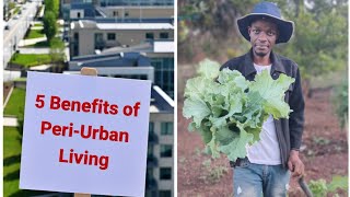 The Amazing Benefits of Peri-Urban Living (Peri-What?)