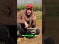 Film Biodegradabili! Il Segreto per un'Agricoltura Sostenibile e un Campo Perfetto!