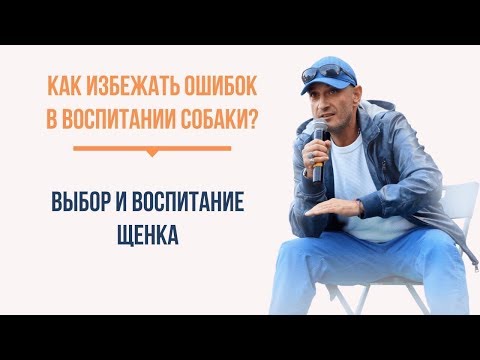 Как избежать ошибок в воспитании собаки? 5 органов чувств формирующих реальность собаки