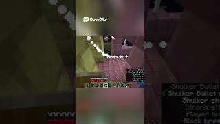 Minecraft Shulker Shell Drop FAIL!