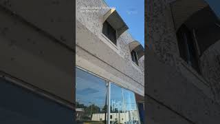 Swarms of mayflies invade Port Clinton, Ohio