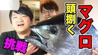 マグロの頭をさばいていくぞぉ〜！！トミックさんと！